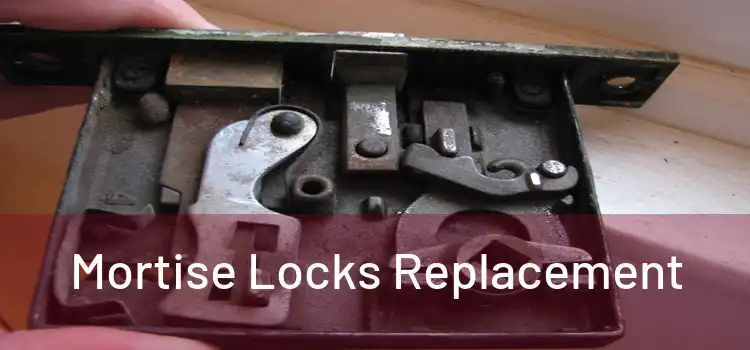  Mortise Locks Replacement 
